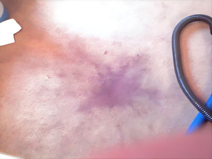 Specialist carpet stain removal in progress in Exeter