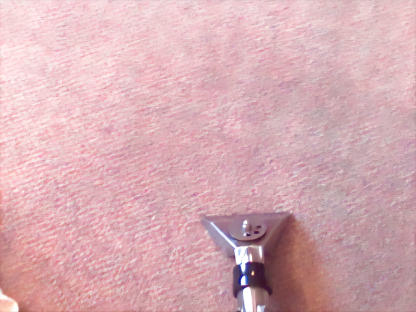 Professional water extraction cleaning in Exeter