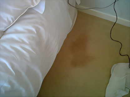 Carpet stain before professional cleaning in Exeter