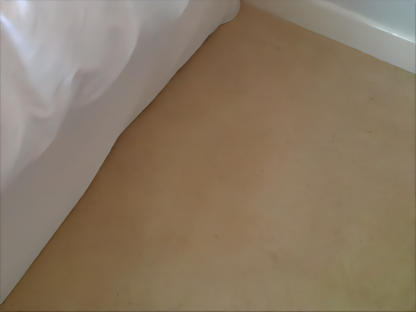 Carpet after professional stain removal in Exeter