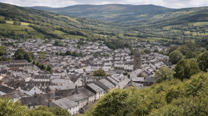 Carpet cleaning services in Buckfastleigh Devon