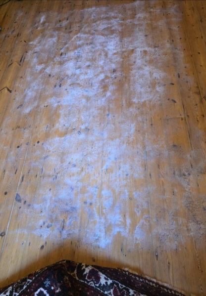 Rug dusting at the Masterclean workshop