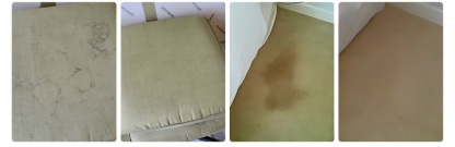 Stain removal Exeter and throughout Devon and Somerset- Masterclean