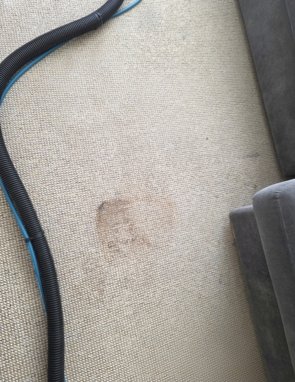 End of tenency stain carpet stain removal exeter