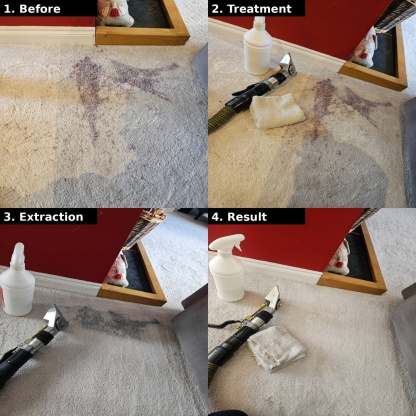 Professional carpet stain removal process in Exeter showing before treatment, stain removal, extraction cleaning and final result by Masterclean.