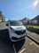 Carpet cleaning Devon home