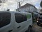 Carpet cleaning Devon home
