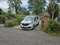 Carpet and upholstery cleaning Budleigh Salterton customers home